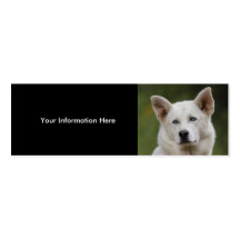 tarjeta del perfil o de visita, perro tarjetas de visita