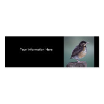 tarjeta del perfil o de visita, petirrojo tarjetas de visita