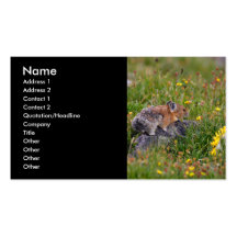 tarjeta del perfil o de visita, pika tarjeta de visita