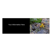 tarjeta del perfil o de visita, pika tarjetas de visita