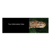 tarjeta del perfil o de visita, serpiente tarjeta de visita