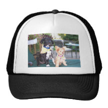 Tarjeta del perrito gorro