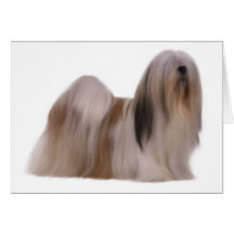 Tarjeta del perro