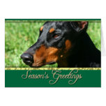 Tarjeta del Pinscher del Doberman de los saludos d