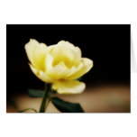 Tarjeta del rosa amarillo