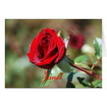 Tarjeta del rosa rojo del feliz cumpleaños de Jane