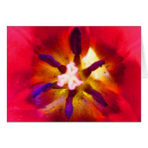 Tarjeta del tulipán
