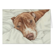 Tarjeta dulce del pitbull
