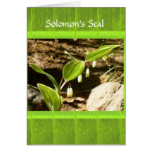 Tarjeta educativa del sello de Solomon