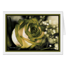 Tarjeta en blanco soñadora del rosa verde (plantil