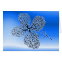 Tarjeta esquelética del ~ de la flor