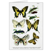Tarjeta europea de la placa de mariposas I