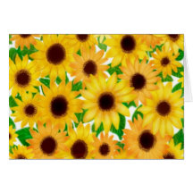 Tarjeta europea de los girasoles