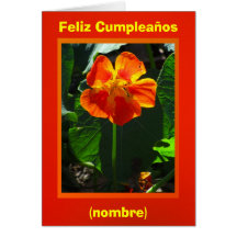 Tarjeta - Feliz Cumpleaños - Anaranjada Capuchina