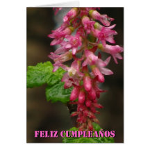 Tarjeta - Feliz Cumpleaños - Flor Rosa-roja