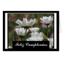 Tarjeta - Feliz Cumpleaños - Margaritas Blancas