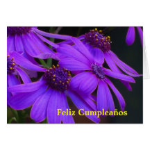 Tarjeta - Feliz Cumpleaños - púrpuras de los Marga
