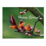 Tarjeta feliz de la primavera tarjetas postales