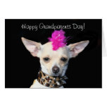 Tarjeta feliz del día de los abuelos de la chihuah