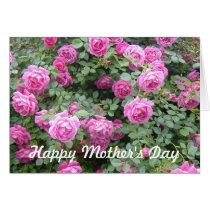 Tarjeta feliz del día de madre - rosebush rosado tarjetas