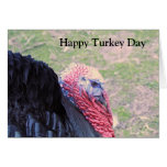 tarjeta feliz del día del pavo