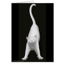 Tarjeta feliz del gato que estira