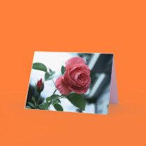 Tarjeta feliz rosada del día de madre floreciente  tarjetas