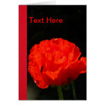 Tarjeta - flor roja de la amapola de maíz