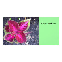 Tarjeta floral rosada de la foto tarjeta fotográfica personalizada