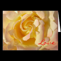 Tarjeta floreciente de la flor de Rose amarilla tarjetas