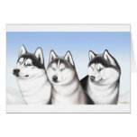 Tarjeta fornida de los perros