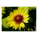 Tarjeta gloriosa de la sol