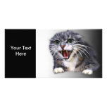 Tarjeta gris enojada de la foto del gato tarjetas fotograficas personalizadas