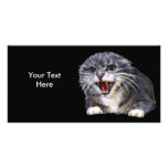 Tarjeta gris enojada de la foto del gato tarjeta fotográfica personalizada