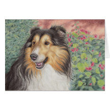 Tarjeta hermosa de Sheltie