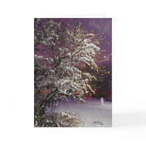 Tarjeta - invierno Nevado tarjetas