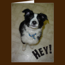 Tarjeta linda del perrito tarjetas