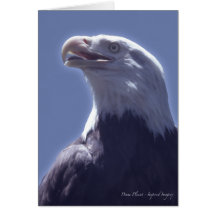 Tarjeta magnífica de Eagle
