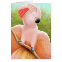 Tarjeta moluqueña del Cockatoo