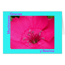Tarjeta - Muchísimas Gracias y Besitos