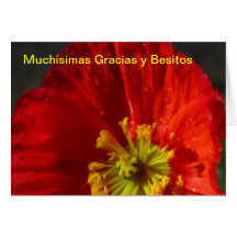 Tarjeta - Muchísimas Gracias y Besitos