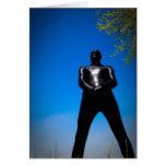 Tarjeta negra de Snakeskin Zentai 10