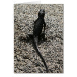 Tarjeta negra del lagarto