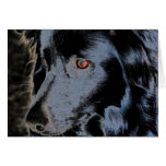 Tarjeta negra del perro de la cara del border coll