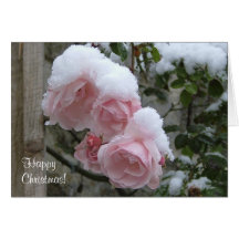 Tarjeta nevada rosada de Navidad de los rosas