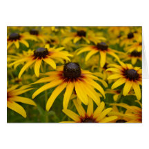 Tarjeta observada negro de la perspectiva de Susan