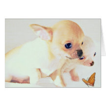 Tarjeta pequenita dulce de los perritos