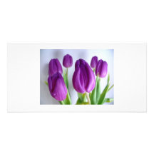 Tarjeta púrpura de la foto de los tulipanes tarjetas fotograficas personalizadas