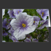 Tarjeta púrpura de las flores tarjetas