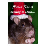 Tarjeta: Rata de Santa